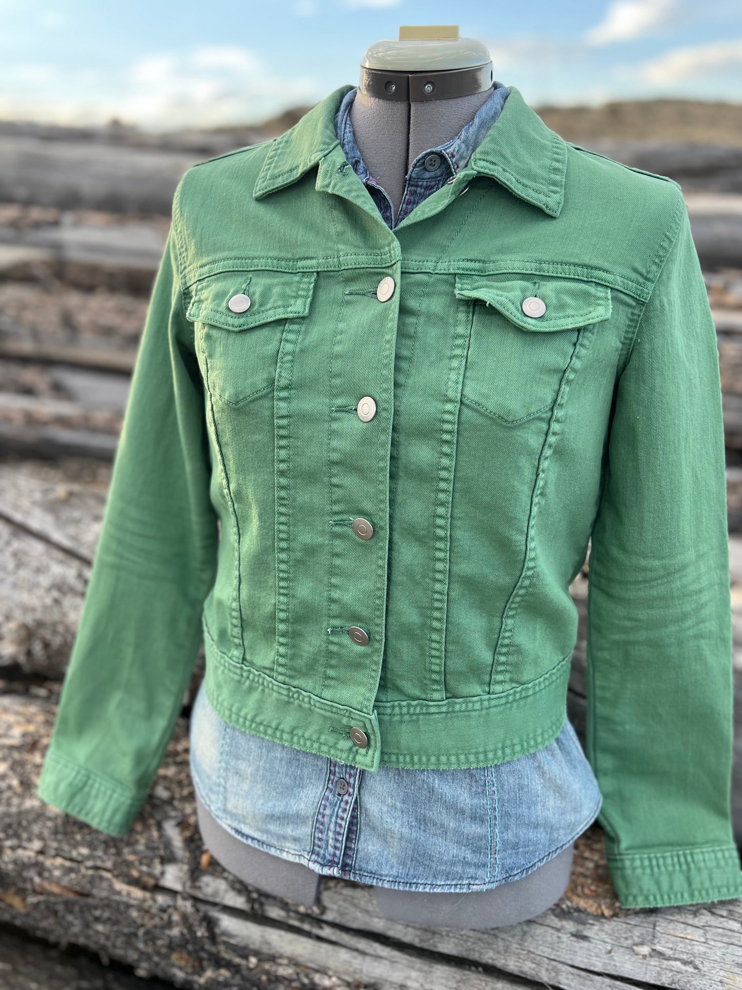 Sage Green Jacket with Pendleton ~Ladies XS