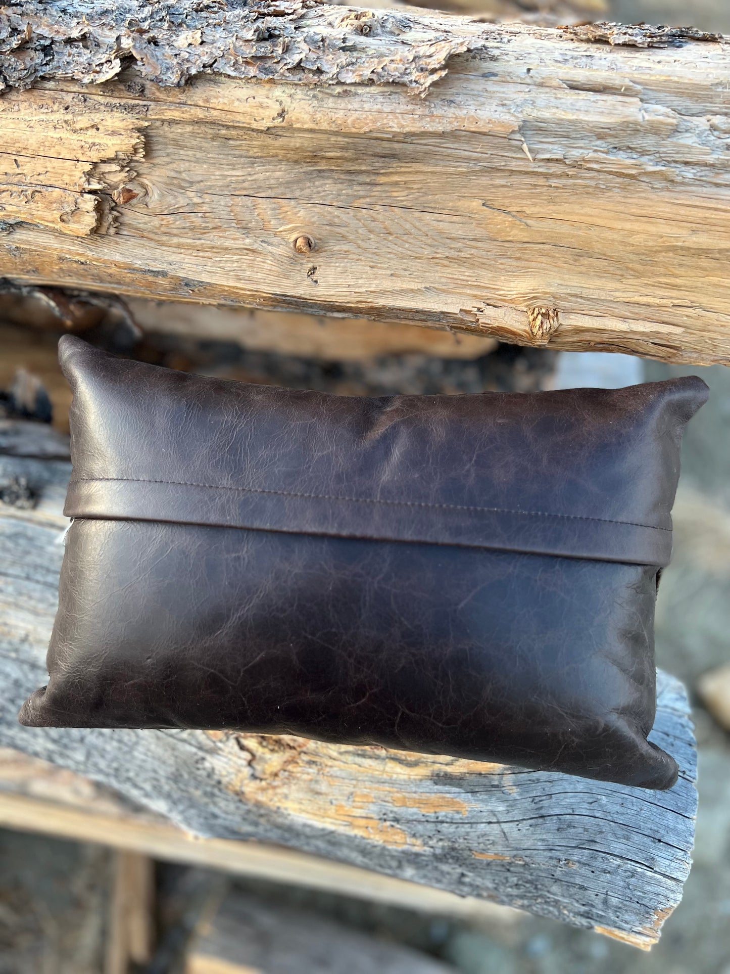 Bit + Leather Pillow