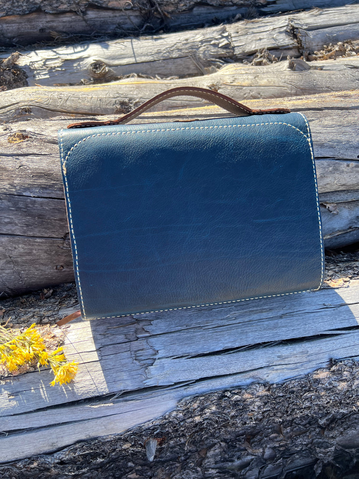 XL Bible Cover